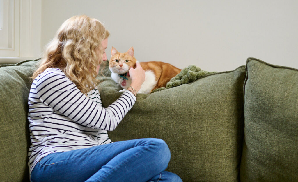 Owner loving her cat