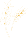 grain icon